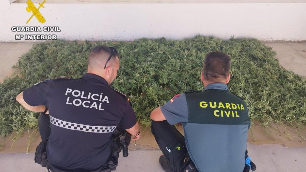 Guardia Civil y Polcicía Local de Sevilla en una operación conjunta