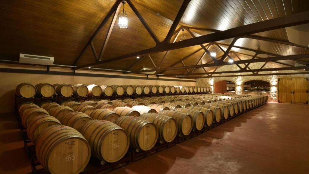 Interior de la Bodega López Cristóbal.