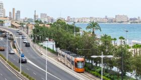 Metrovalencia y TRAM d'Alacant desplazan a 63 millones de personas hasta  junio, récord histórico de FGV