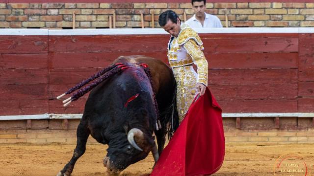 Toreros es una de las profesiones que pueden jubilarse.