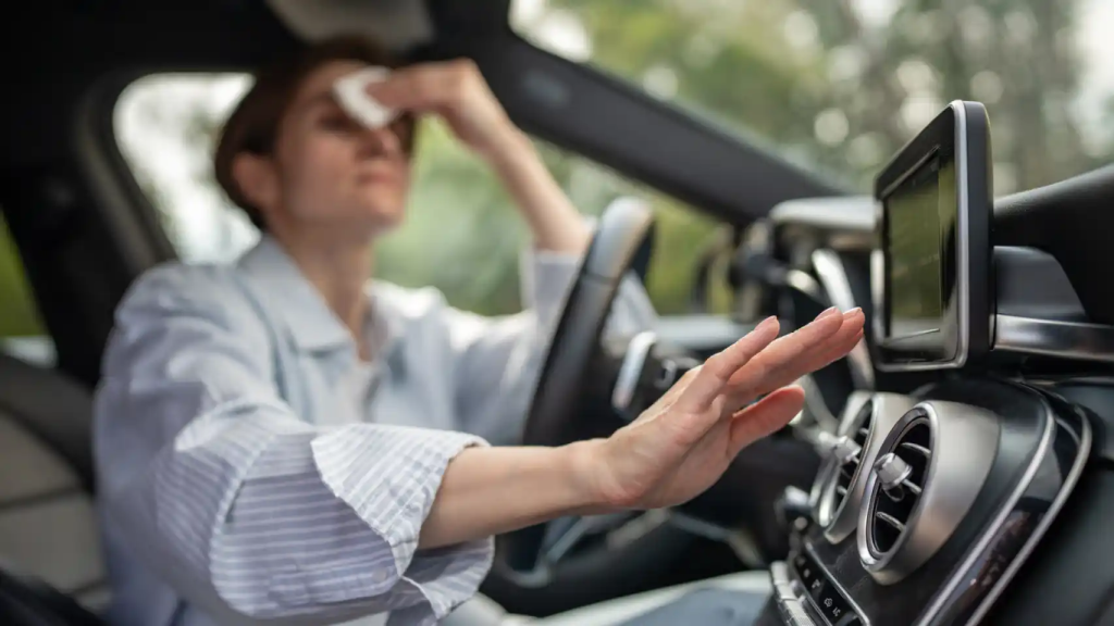 Imagen de archivo de una mujer en el coche.