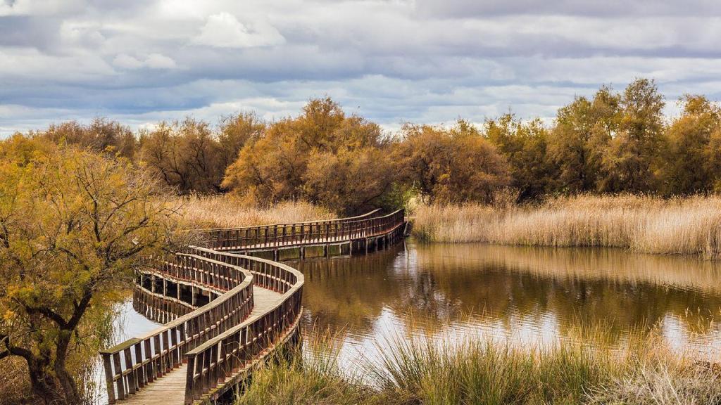 Fotografía de Las Tablas de Daimiel.