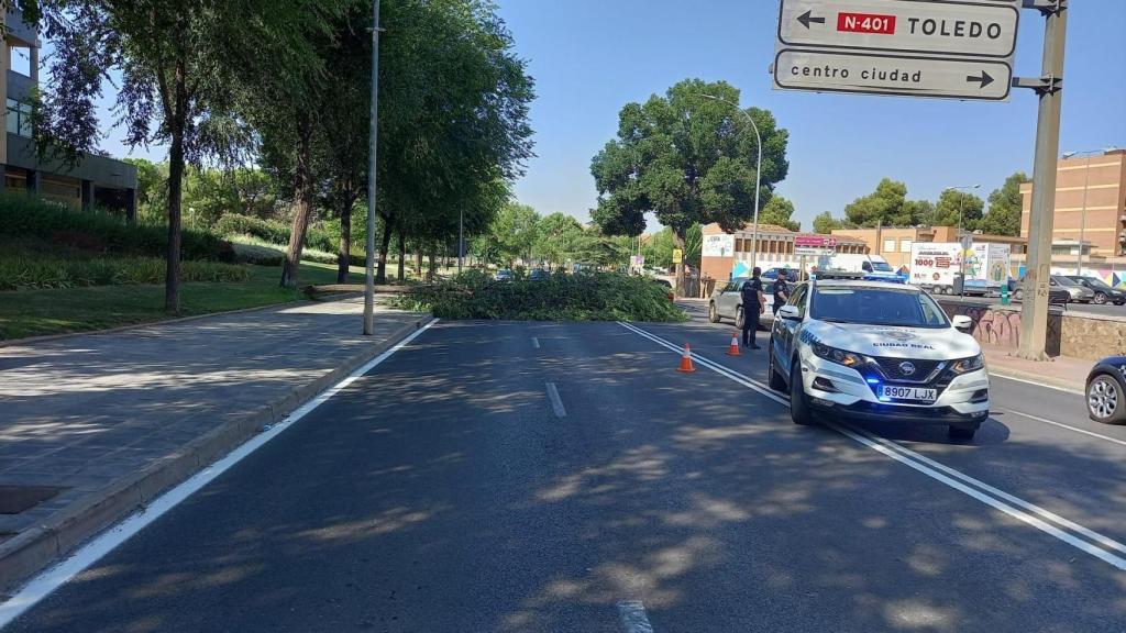 Foto: Policía Local de Ciudad Real