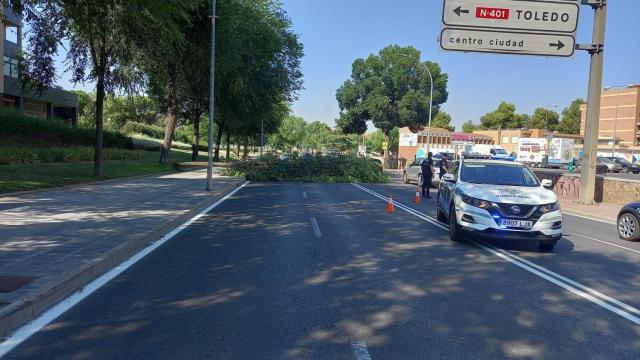 Foto: Policía Local de Ciudad Real