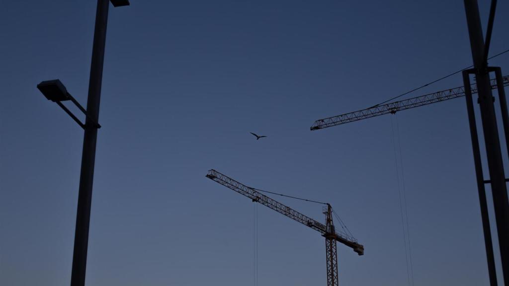 Varias grúas en la construcción de edificios