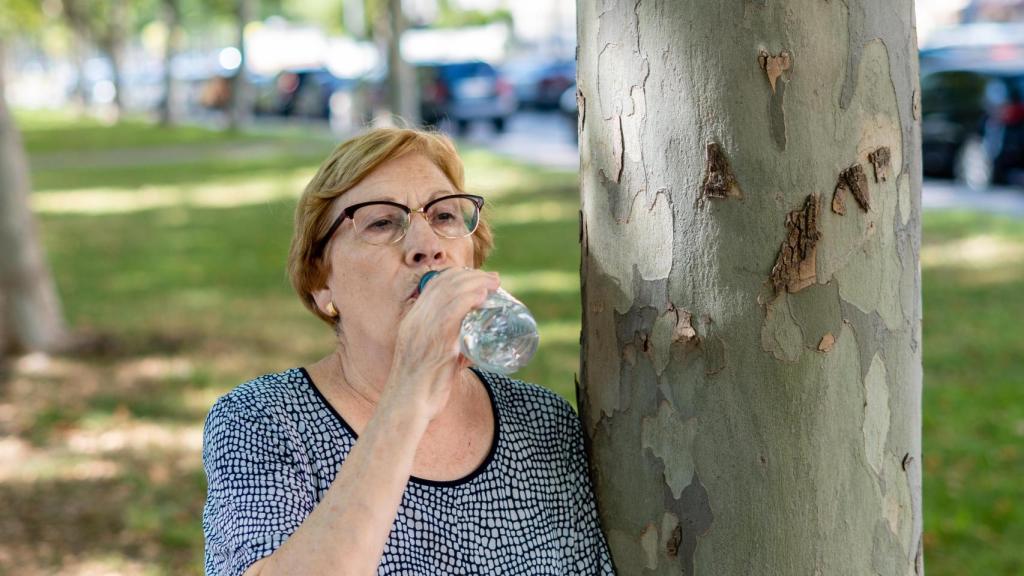 Beber agua es fundamental para prevenir los golpes de calor.