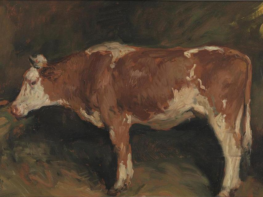 Estudo de vaca, Fernando Álvarez de Sotomayor (1945).