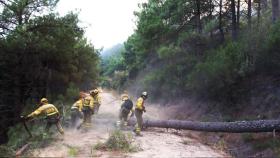 Las Brigadas de Refuerzo de Incendios Forestales sofocando un incendio