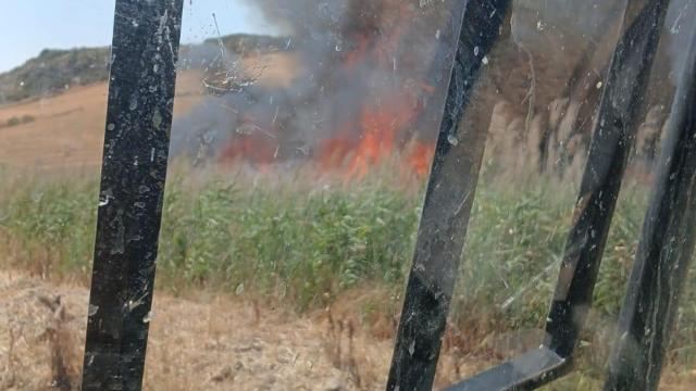 El incendio forestal de Campillos.