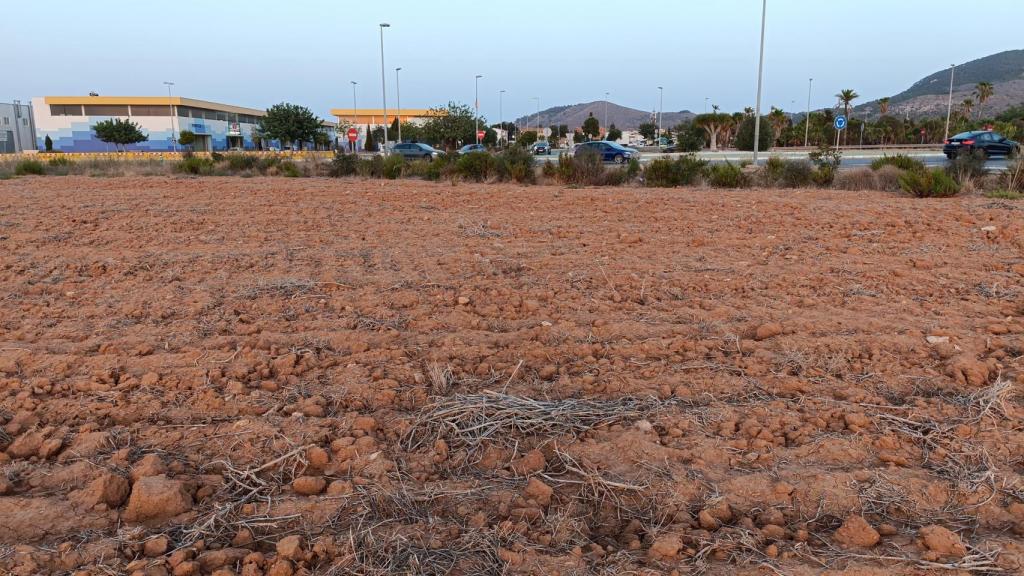 Una de las plantaciones, ya vacías, donde los vecinos de Los Belones (Cartagena) sitúan la aparición de los insectos.