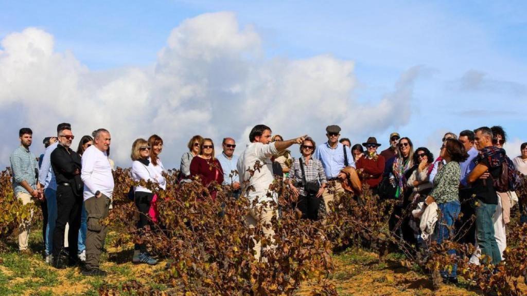 Un grupo visita el viñedo de Bodegas Magasé en La Palma del Condado (Huelva).