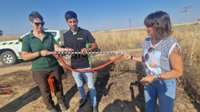 La directora general de Medio Natural y Biodiversidad, Susana Jara, este miércoles en Escalonilla (Toledo).