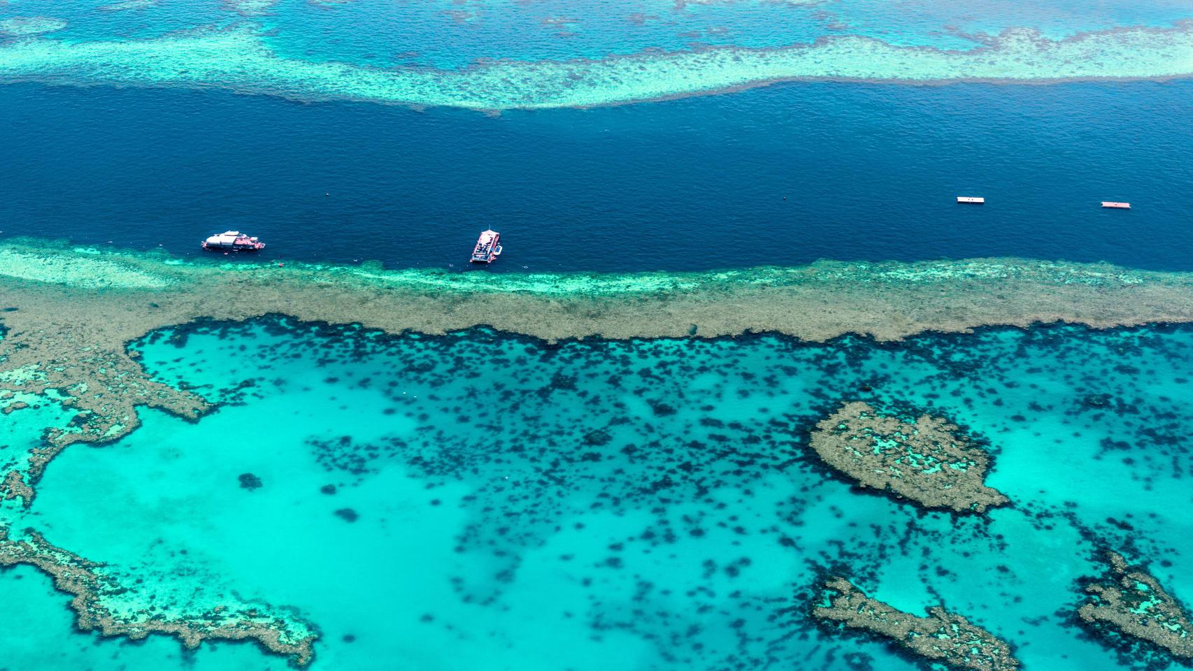 Imagen aérea de la Gran Barrera