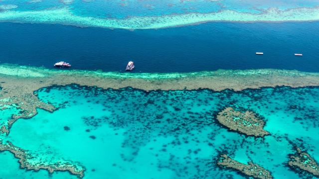 Imagen aérea de la Gran Barrera