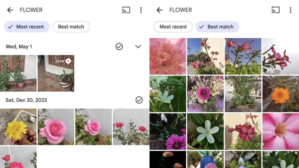 Nuevos filtros de Google Fotos