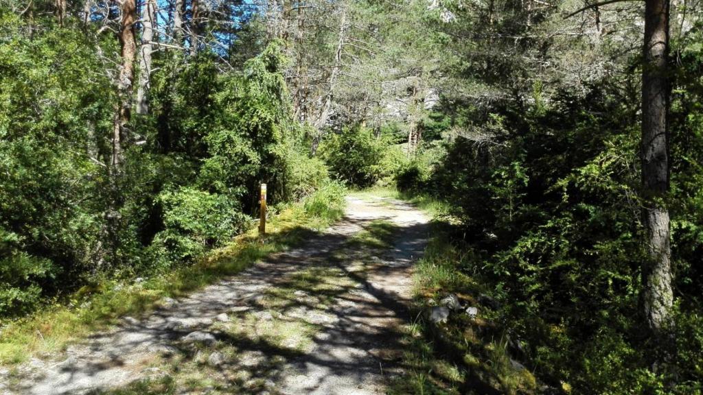 Sendero del Pirineo aragonés