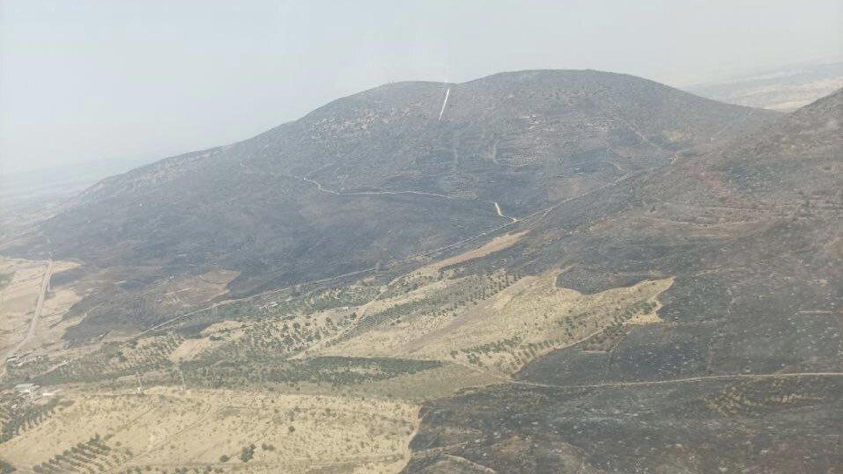 Terreno quemado en el incendio de La Jara. Foto: Plan Infocam