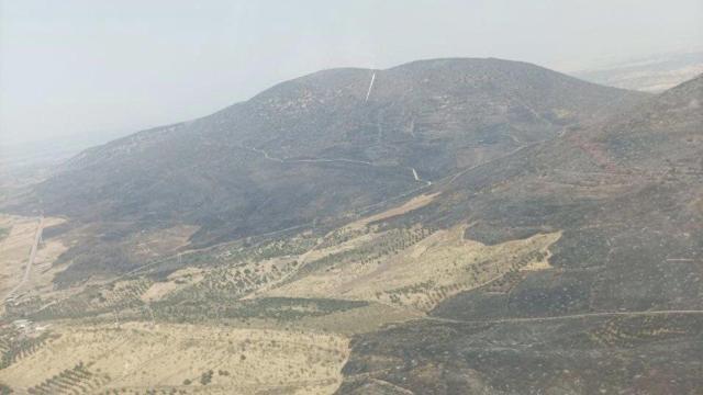 Terreno quemado en el incendio de La Jara. Foto: Plan Infocam