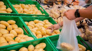 La caída de producción de la patata lleva a los agricultores a una histórica racha de ventas a precios récord