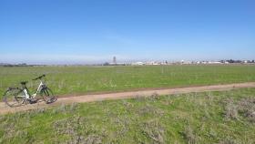 Vista de la dehesa de Tablada en Sevilla.