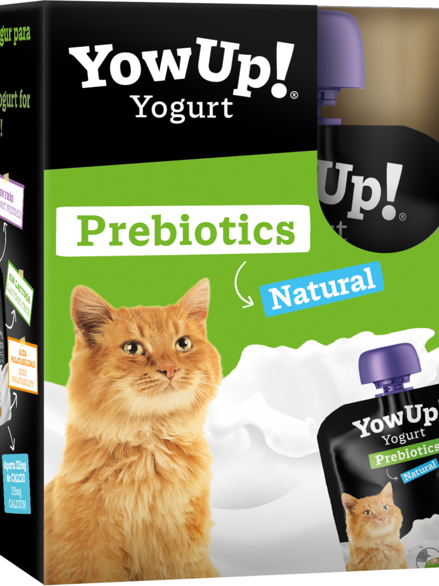 Yogur natural para gatos.