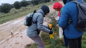 Zona donde ha ocurrido el accidente