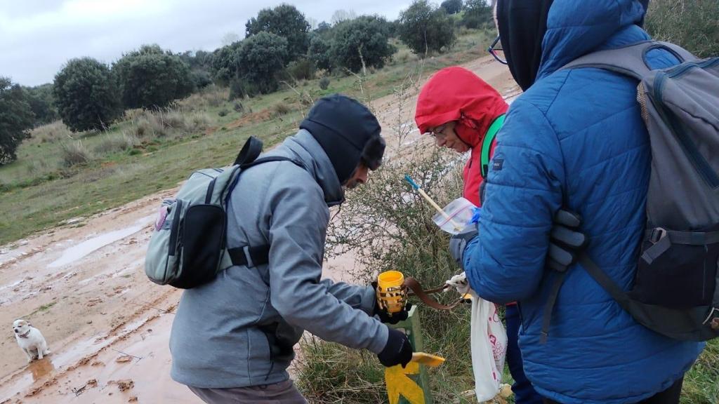 Zona donde ha ocurrido el accidente