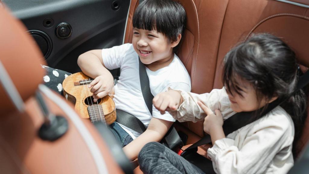 Niños viajando en coche