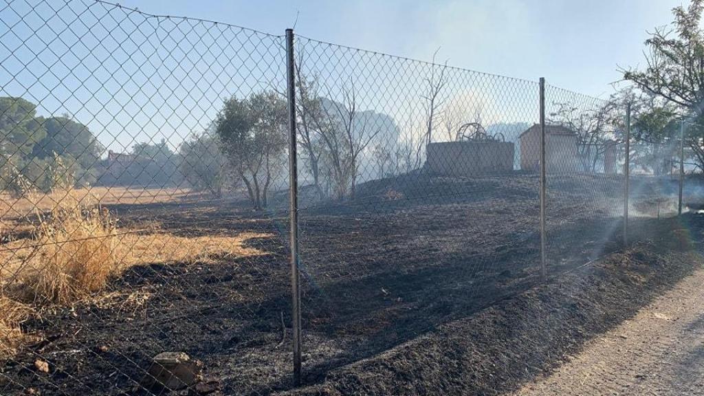 Una de las parcelas afectadas por el incendio. Foto: SCIS Ciudad Real.