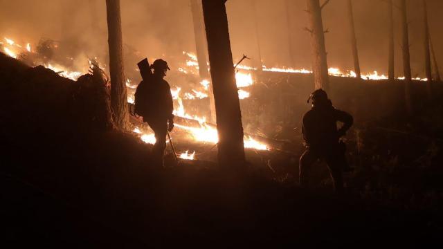 Incendio entre Angueira y Alcañices