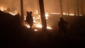 Incendio entre Angueira y Alcañices