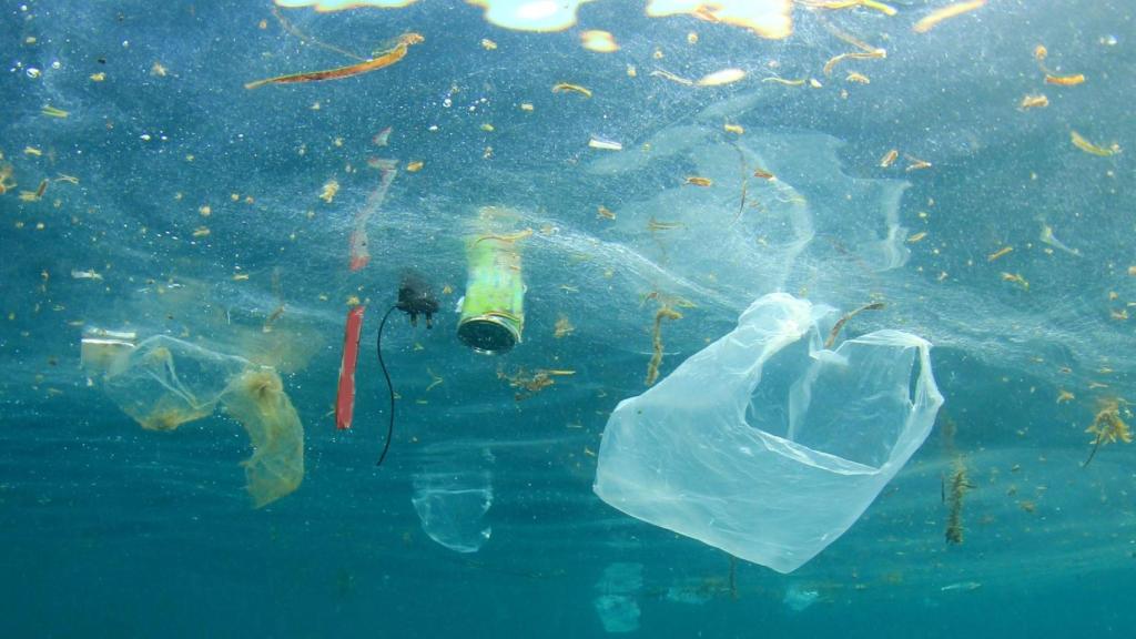 Con la aplicación cualquier persona puede informar sobre la presencia de plásticos y vertidos de cualquier tipo en el mar.