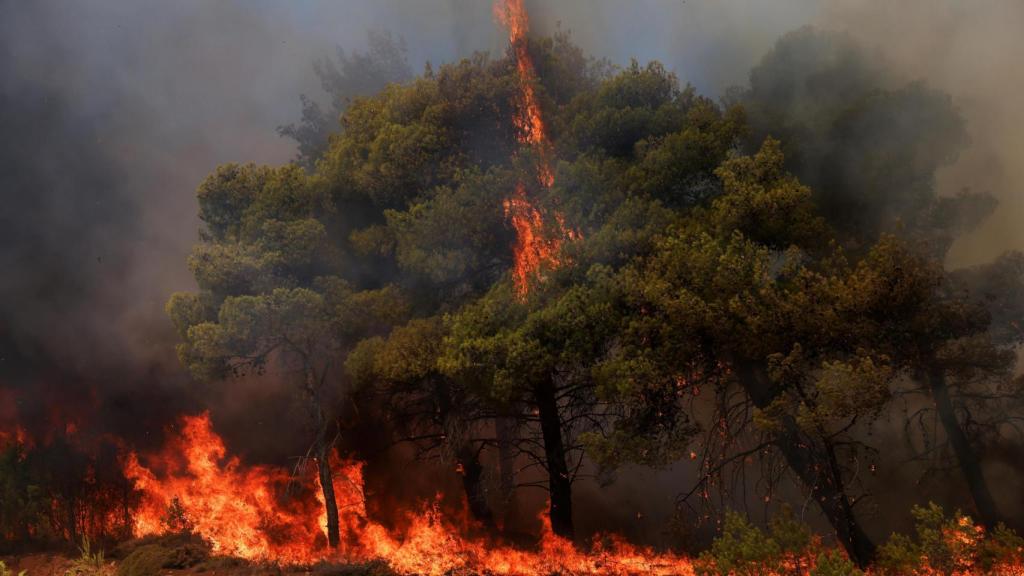 Incendio en Grammatiko, cerca de Atenas.