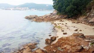 Esta cala de la ría de Vigo es ideal para hacer snorkel: Sus aguas son de color azul turquesa