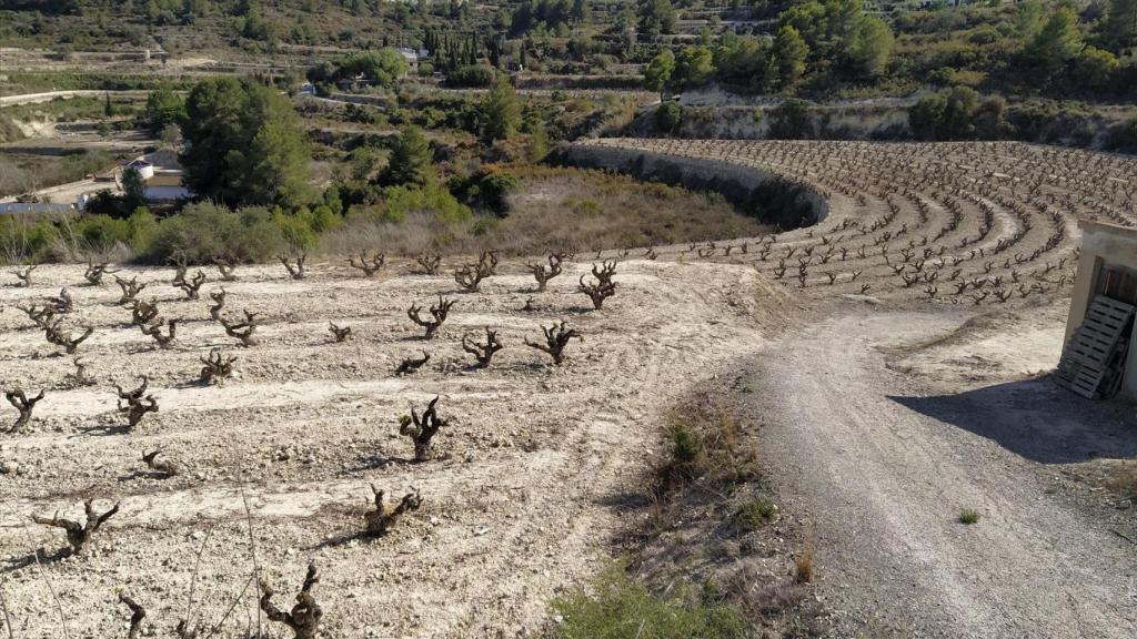 Tierras afectadas por la sequía. AVA-ASAJA