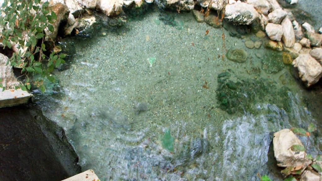 Una de las piscinas naturales de las termas de Alhama de Granada.