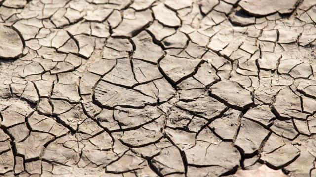 Las lluvias han sido de 231,6 mm en lo que llevamos de año hidrológico, por debajo de la media de los 390 mm.