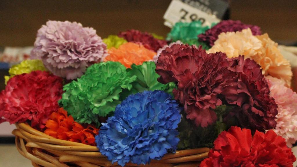 Claveles de todos los colores. La flor típica de las fiestas madrileñas.