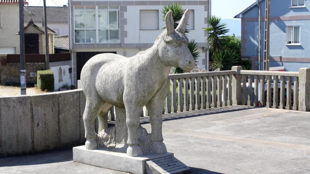 Homenaje a las Carreiras de Burras de San Roque do Monte