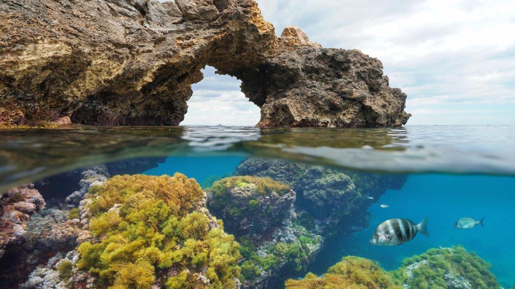 Las islas Medas en una foto que demuestra la protección submarina