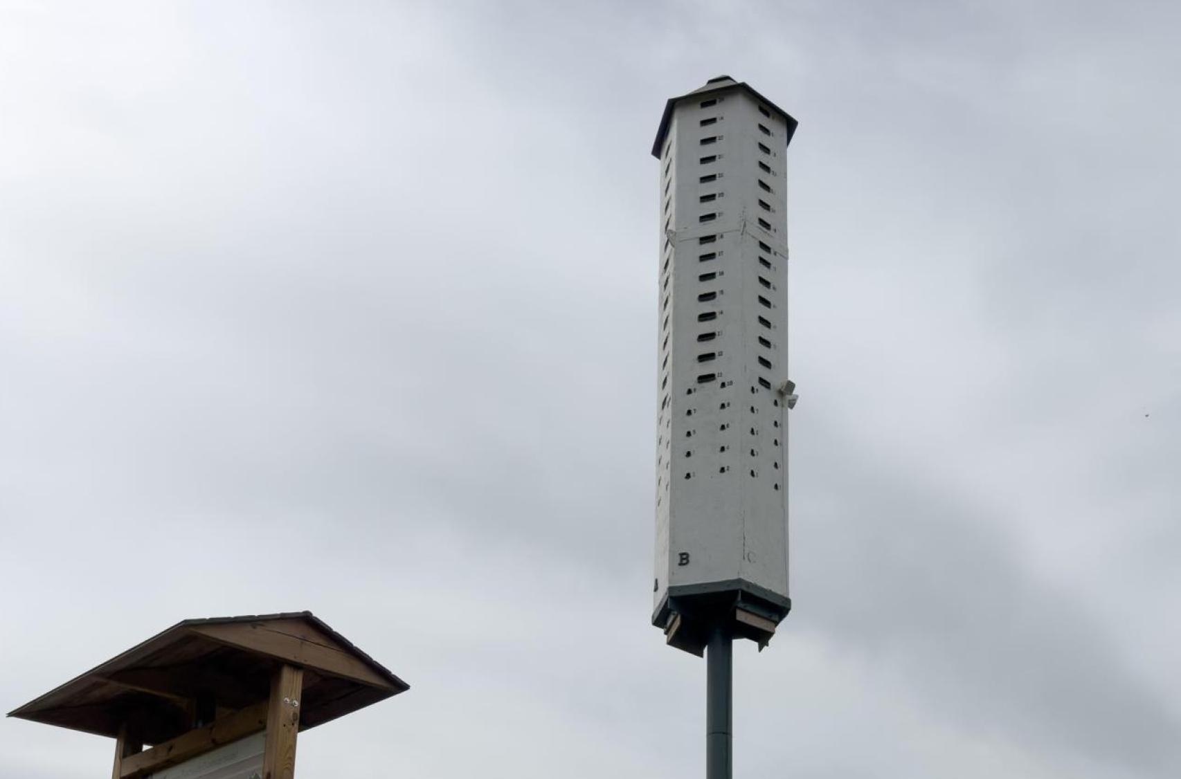 Torre de la Biodiversidad, Coria del Río.