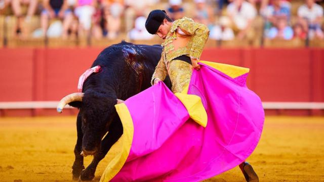 Aarón Palacio en La Maestranza de Sevilla