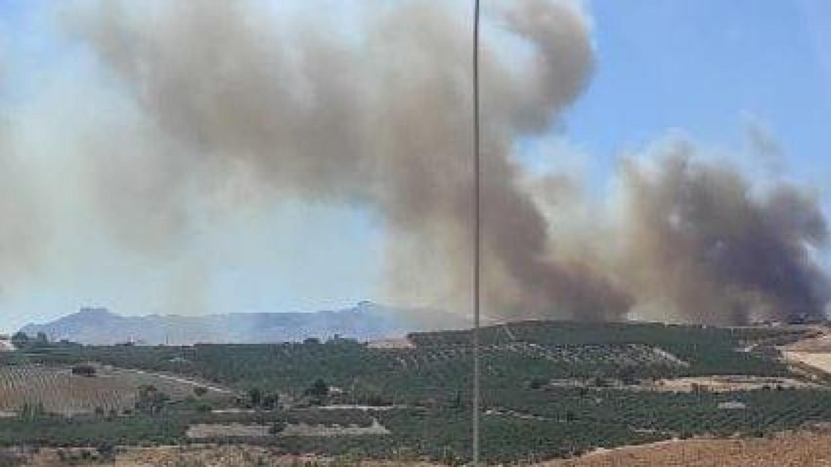 El incendio forestal del paraje de Antequera.