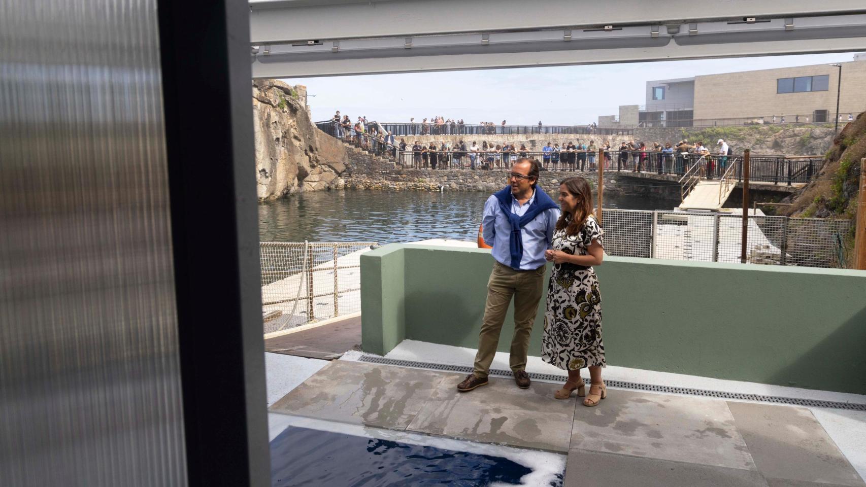 El Aquarium Finisterrae de A Coruña estrena el renovado sanatorio de focas.