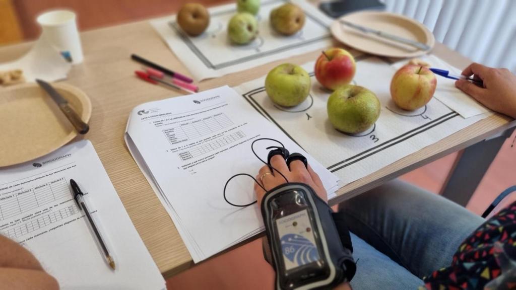 Neuromarketing en los productos de Castilla y León