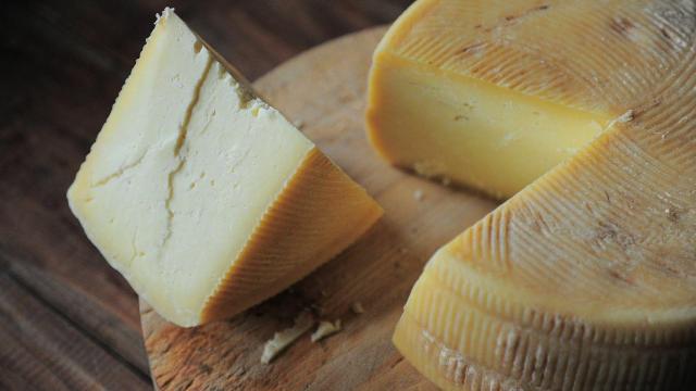 Entre las muestras se incluyen muchas recogidas en instalaciones de fabricación de queso.