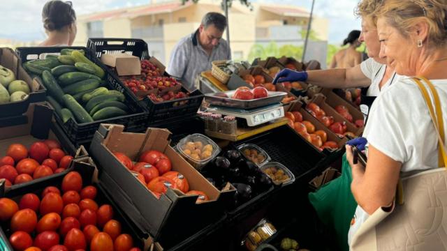 Uno de los puestos de la cata-subasta.