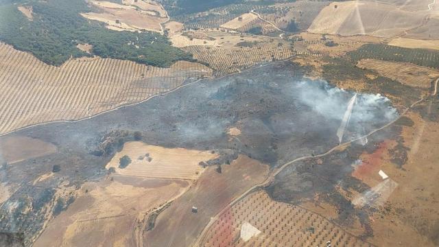 El incendio forestal declarado ayer en un paraje de Antequera.