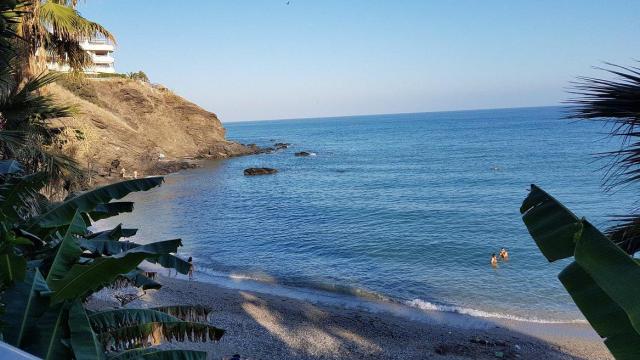 Playa las Viborillas