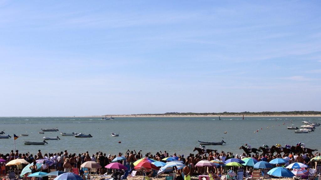 Caballos compitiendo en una de las carreras de Sanlúcar